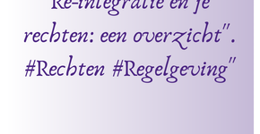 inc. Reintegratie insta post 12-11